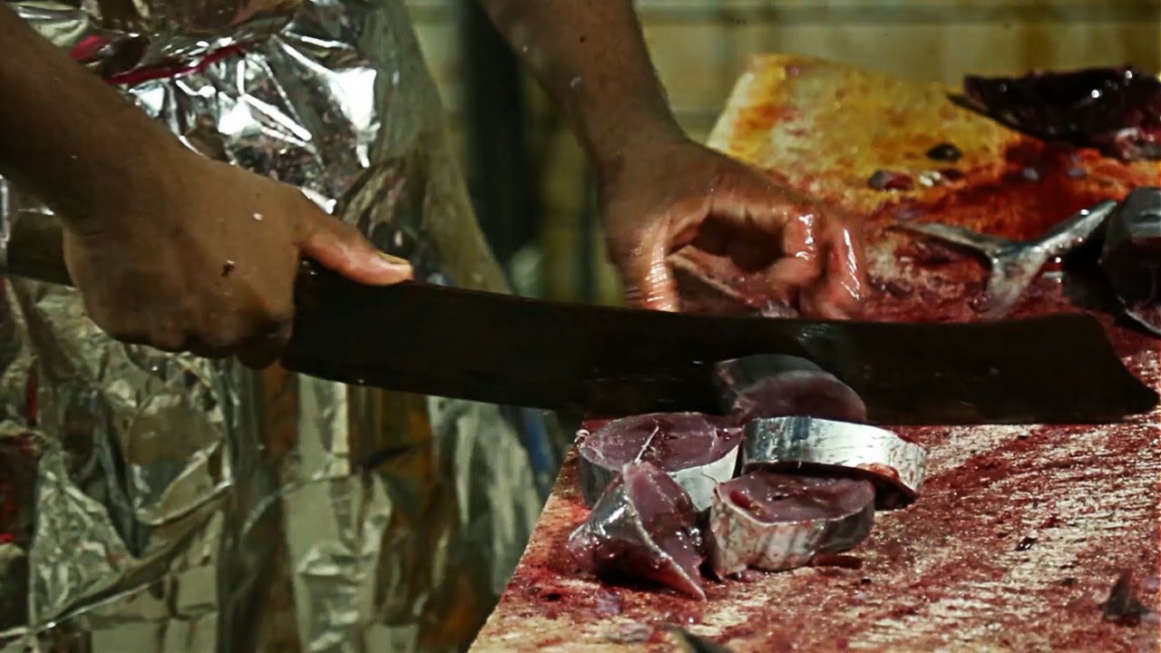 SHARP BLADE VS SMALL TUNA | FISH CUTTERMAN