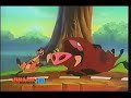 Hakuna Matata Timon Pumbaa