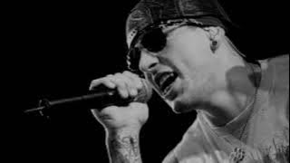 M Shadows - Sidewinder