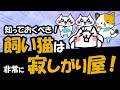 猫が寂しい気持ちの5つのサイン、寂しさや不安をどのように解消すればよいか?
