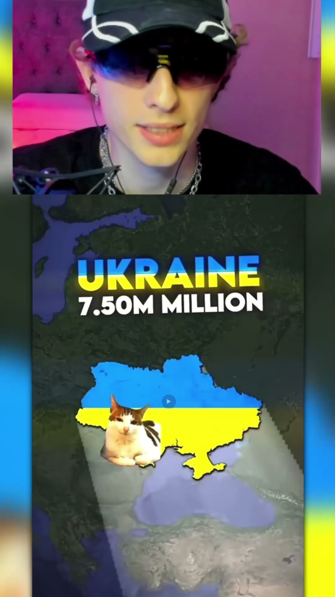 Los PAÍSES con más GATOS??