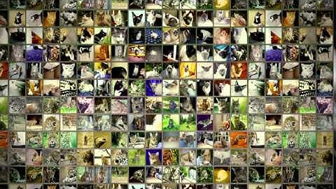 Fei-Fei Li TED presentation - How we