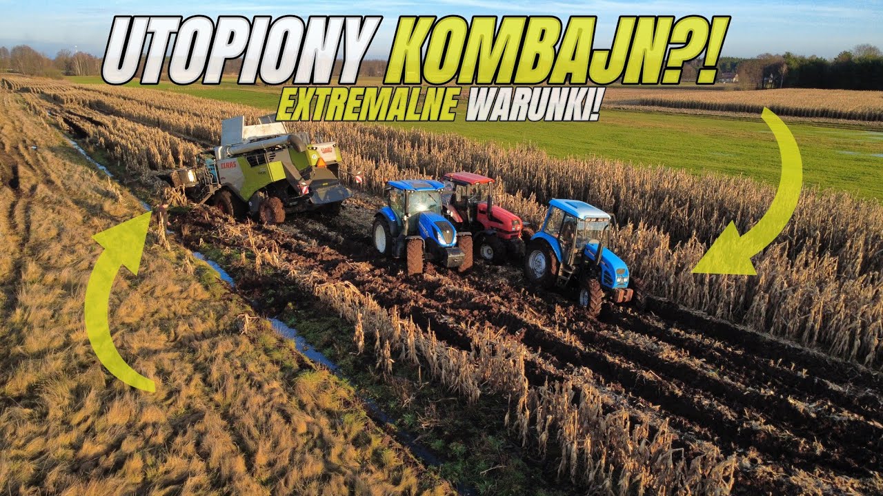 🇵🇱Utopiony Kombajn?!☆Extremalne Warunki☆Wtopa Za Wtopą☆Kukurydza Na Ziarno Na Torfowiskach|Gr Kłobus