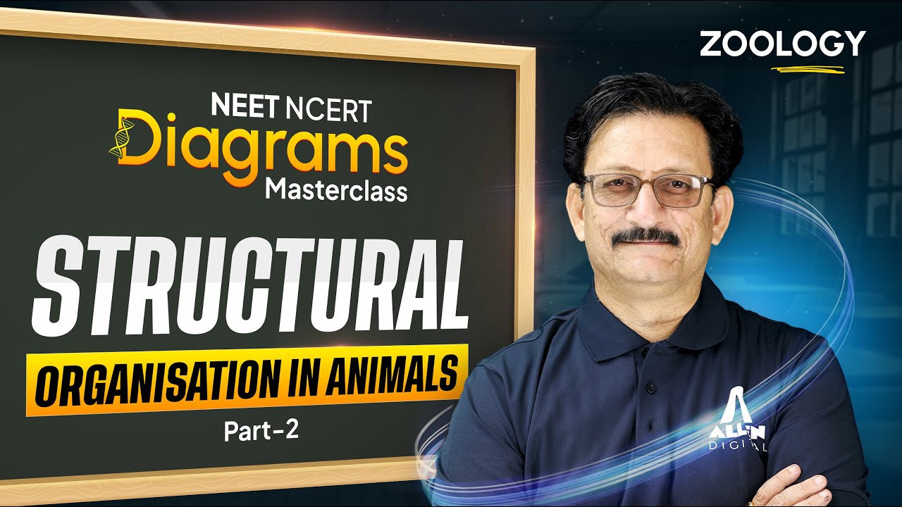 Zoology: STRUCTURAL ORGANISATION IN ANIMALS Part-2 | NEET 2026 | NCERT ...