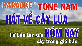 Hát Về Cây Lúa Hôm Nay Karaoke Tone Nam Nhạc Sống - Phối Mới Dễ Hát - Nhật Nguyễn