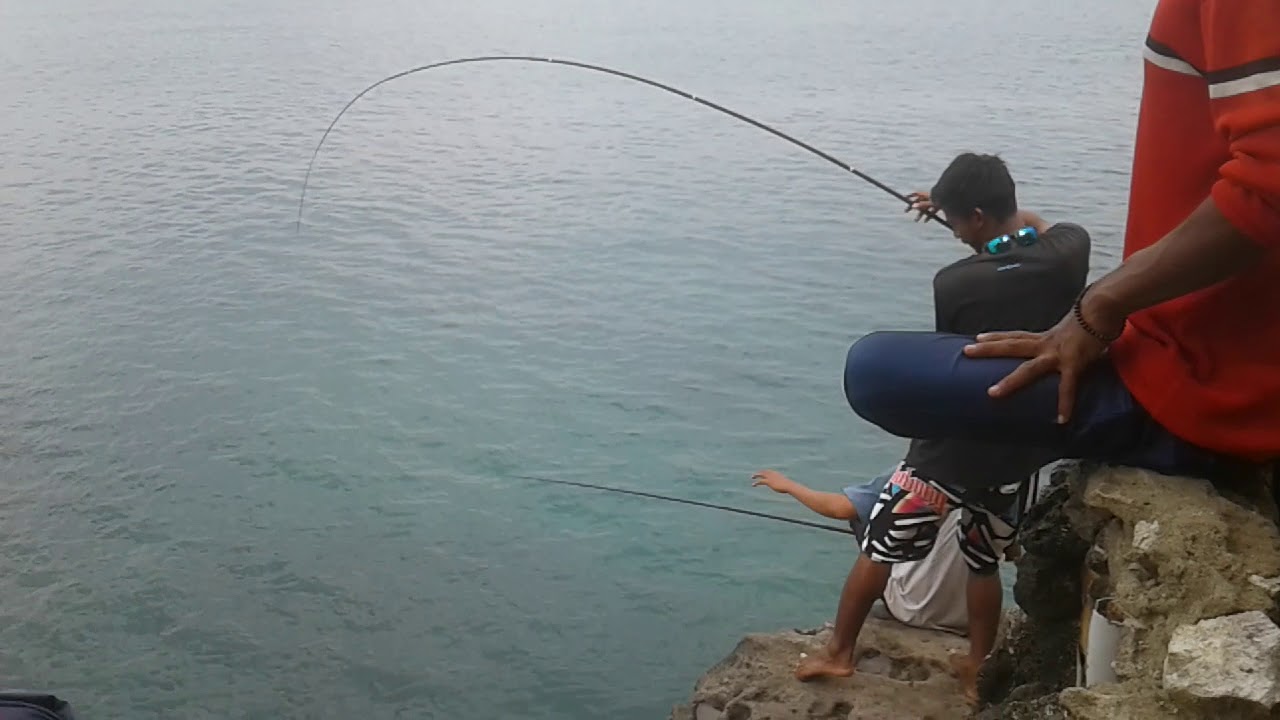 Mancing ikan baronang
