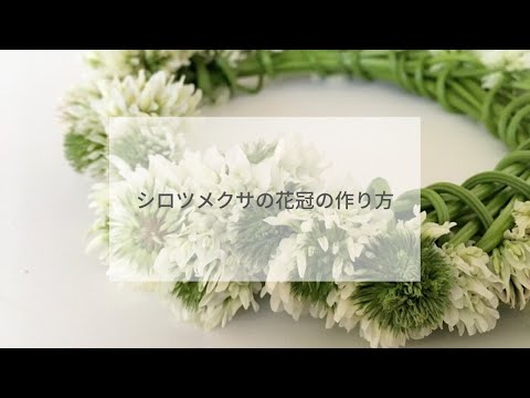 野の花で遊ぼう シロツメクサの花冠の作り方 Lovegreen ラブグリーン