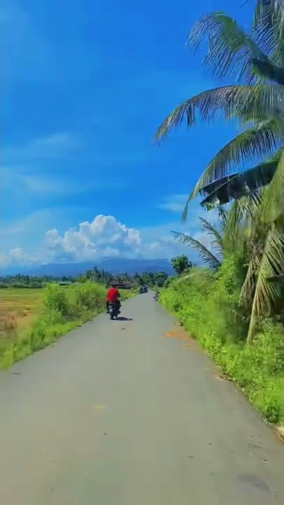 #lexssenja story wa pagi yg indah alam semesta