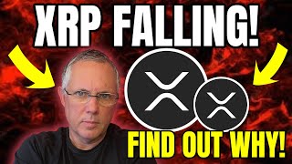 видео: XRP ПАДАЕТ! УЗНАЙТЕ, ПОЧЕМУ XRP ПАДАЕТ! СВЕЖИЕ НОВОСТИ О XRP! картинка: XRP ПАДАЕТ! УЗНАЙТЕ, ПОЧЕМУ XRP ПАДАЕТ! СВЕЖИЕ НОВОСТИ О XRP!