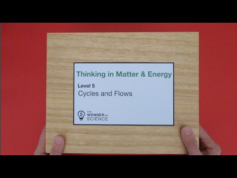⁣Thinking in Matter and Energy - Level 5 - Cycles and Flows
