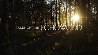 Chasing Stars - Tales of the Echowood Main Theme