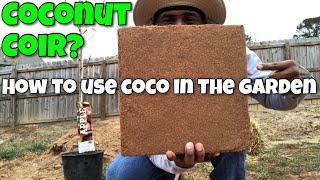 COCONUT COIR? HOW TO USE COCO COIR IN YOUR GARDEN | HOW TO MAKE YOUR OWN GARDEN SOIL