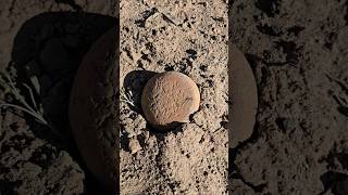 Finding Prehistoric Artifacts In The Desert - Mano