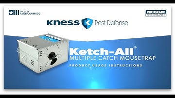 How to Set a Ketch-All® Multiple Catch Mousetrap