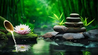 Beautiful Relaxing Music - Stop Thinking Too Much, Music with Relief, Music to Sleep🌿 by Peaceful Relaxation 216 views 2 weeks ago 3 hours, 38 minutes