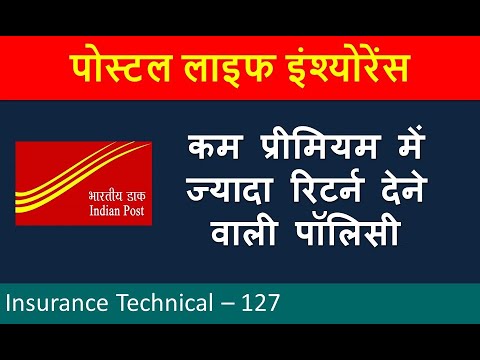 वीडियो: पिट बुल को बढ़ावा देने के दौरान मैंने यही सीखा है