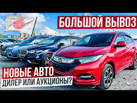 🚗Автомобильные НОВИНКИ из Японии🎌Большой вывоз. Эти модели лучше чем от дилера!?🤔