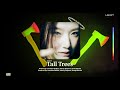 G I DLE Tall Trees Official Audio mp3