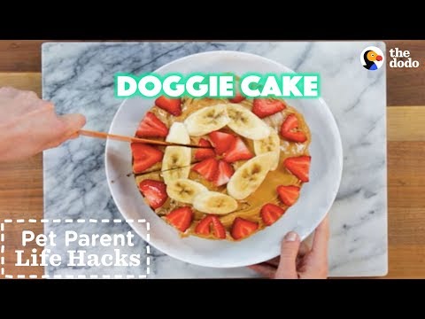 easy-dog-cake-recipe-for-any-special-occasion-|-the-dodo-pet-parent-hacks