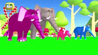 เพลงช้าง น้องเคยเห็นช้างหรือเปล่า  เพลงเด็กอนุบาล เพลงเด็กในตำนาน by kidstvonline