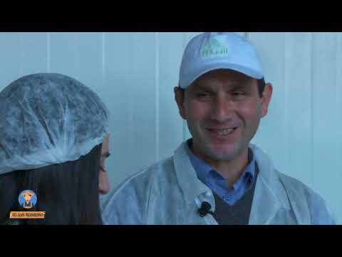 მე ვარ ფერმერი-ყველის საწარმო