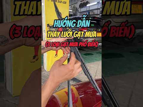 Hướng Dẫn Tự