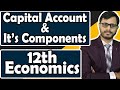 What is Capital Account And It's Components | 12th CBSE Board | CA | CMA | BBA | B.Com