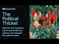 The Political Thicket | Radiolab Podcast