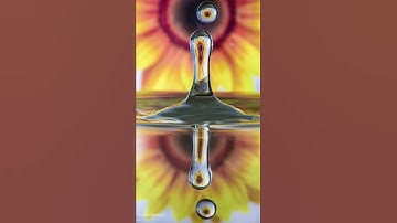 You can shoot creative water drop photos with New Splash!