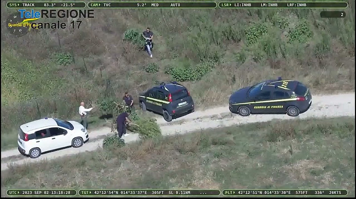 Guardia di Finanza sequestra piantagione di marijuana nel Vastese - 12/09/2023