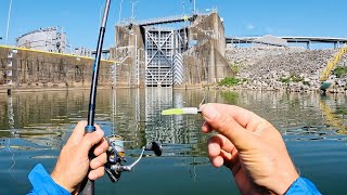 2 Hours of RAW and UNCUT Fishing with Crappie Magnets at Watts Bar Dam