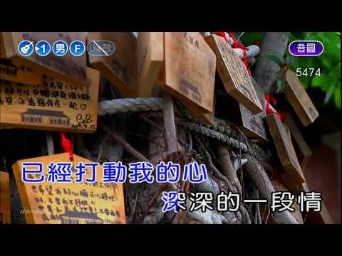 月亮代表我的心~鄧麗君~男F調~伴奏~導唱丙