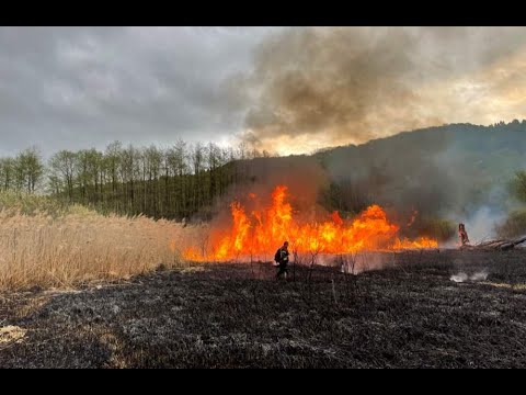 Video: Gdje bi trebao biti aparat za gašenje požara u prostorijama?