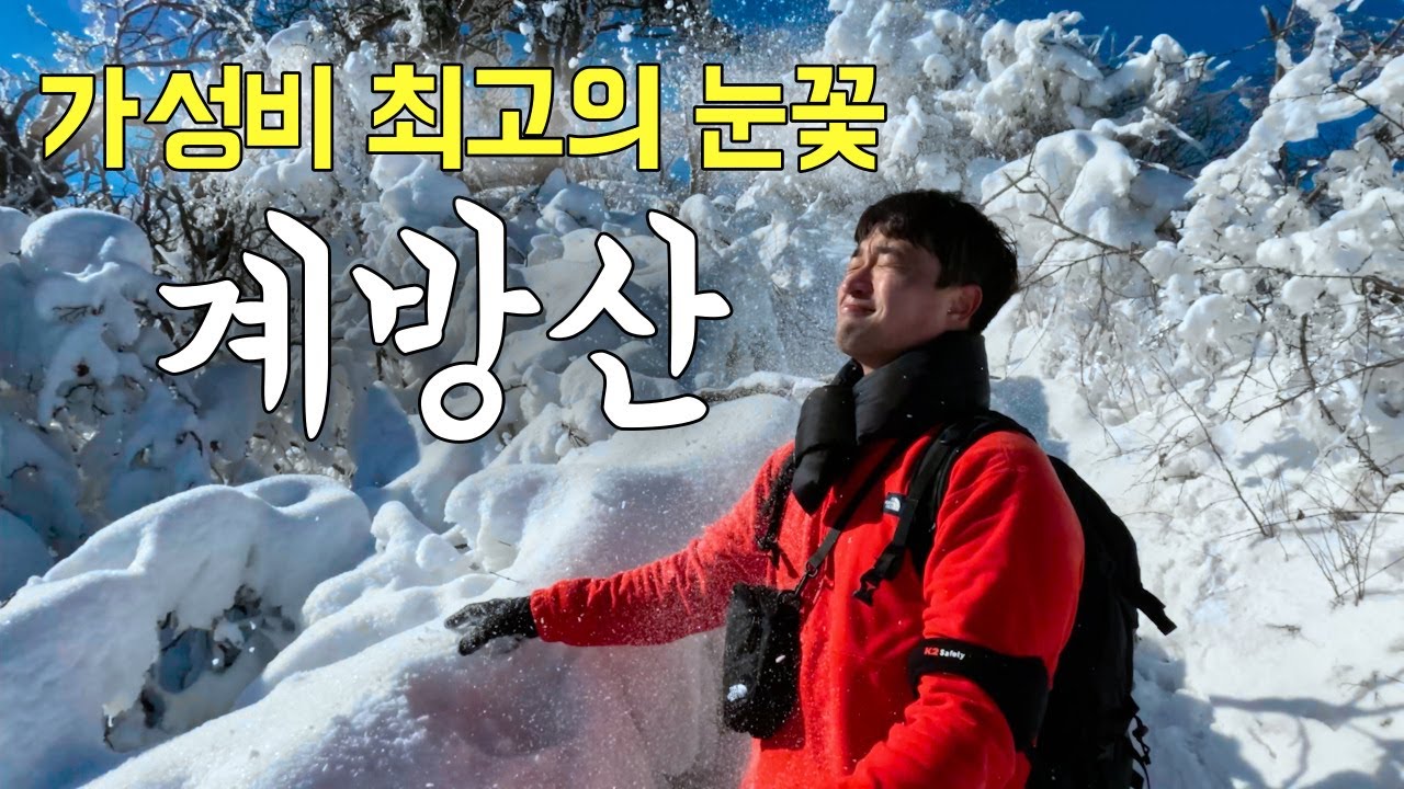 산행 1분만에 시작되는 눈꽃파티 【등산 계방산】 강원도 겨울 여행 - YouTube