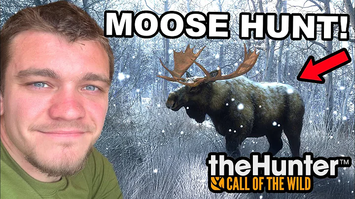 Hunting Down Giant Alberta Moose!