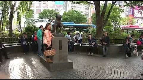 ♥♥ "Hachi, the Faithful Dog: Shibuya, Tokyo"