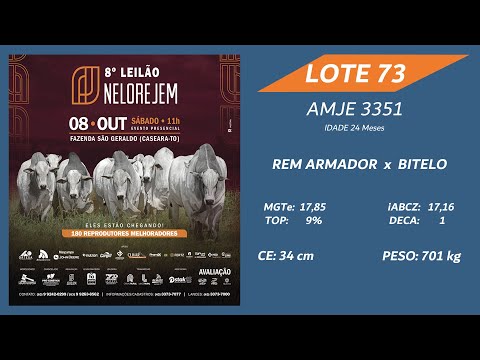 LOTE 73