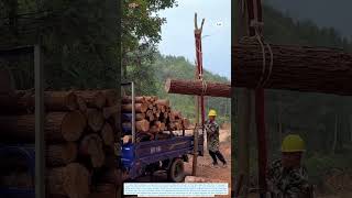 Smart DIY Wooden Crane System Makes Heavy Log Lifting Effortless
