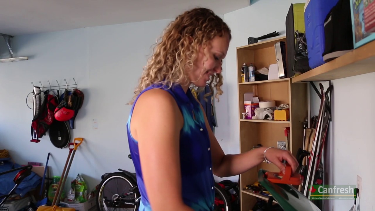 maggots free organic waste recycle