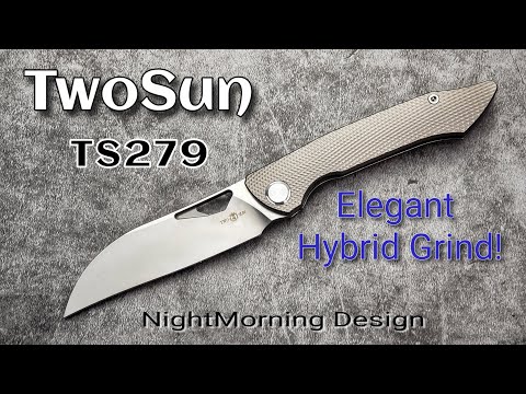 TwoSun TS279 Flipper: Elegant Hybrid Wharnie Blade Design
