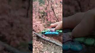 Beautiful 4Th Of July Campground In The Fall New Mexico