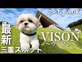 【シーズー犬/はに丸】話題の三重県最新スポット「VISON」に行ってきたよ！ / Hani went to the hot topic place "VISON" in Mie prefecture.