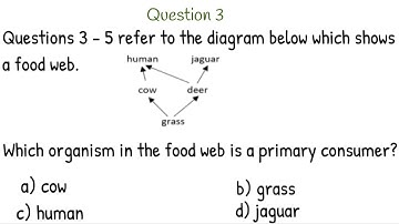 Grade 6 Science Test Questions with Answers 2023 Quiz 2| Are you smarter than a Grade 6 student?