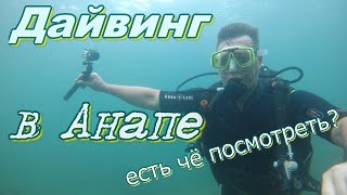 Дайвинг в Анапе. Отзыв новичка