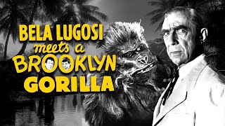 Bela Lugosi Meets a Brooklyn Gorilla