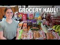 GROCERY HAUL & MEAL PLAN! | LARGE FAMILY FOOD 2024