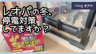 【爬虫類】レオパの冬対策、停電対策は万全ですか？～初心者による気まぐれレオパ講座～