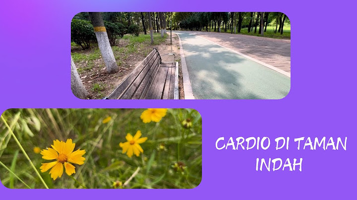 JALAN JALAN DI TAMAN LAGI.SAMBIL CARDIO.MENIKMATI PEMANDANGAN YANG INDAH