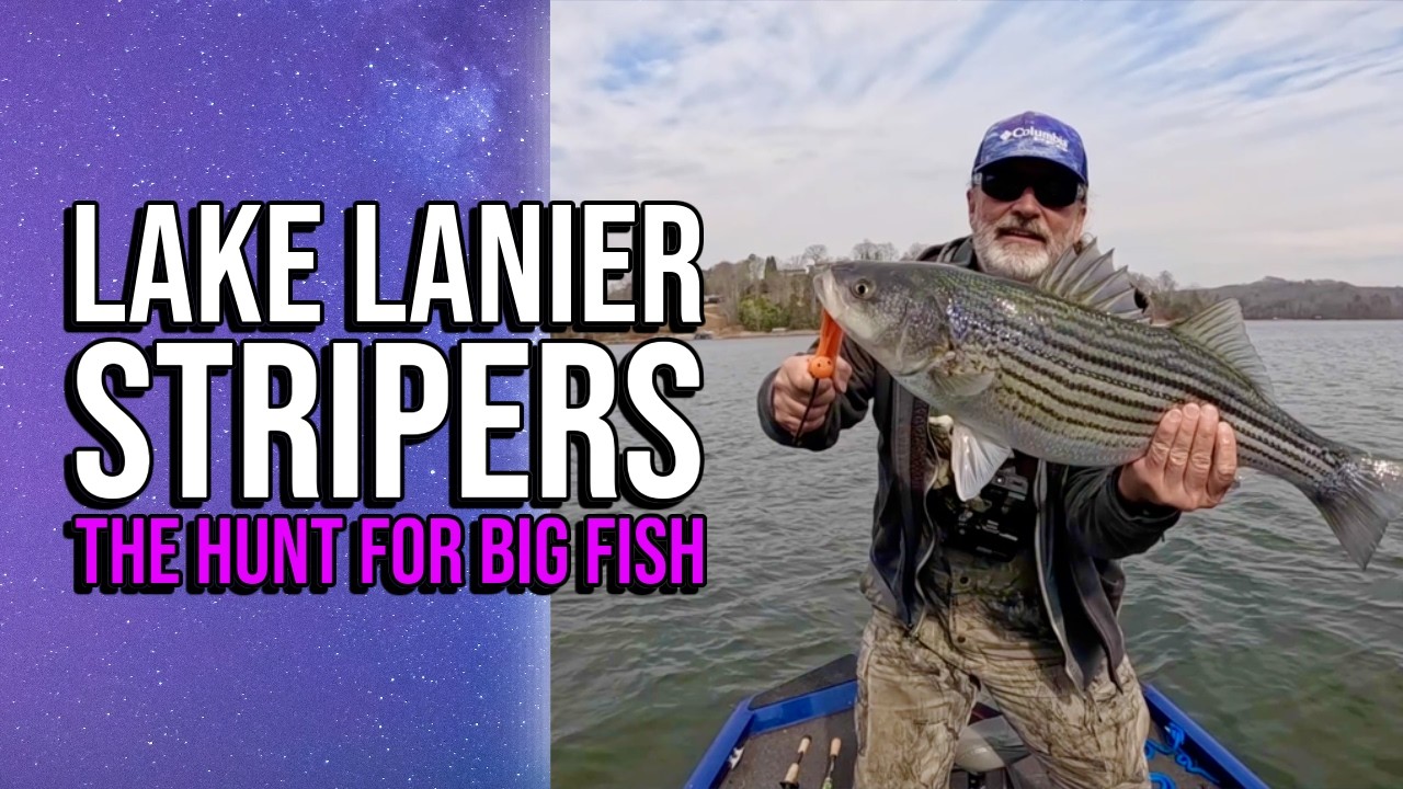 Полосатый окунь озера Ланиер: Охота за крупной рыбой