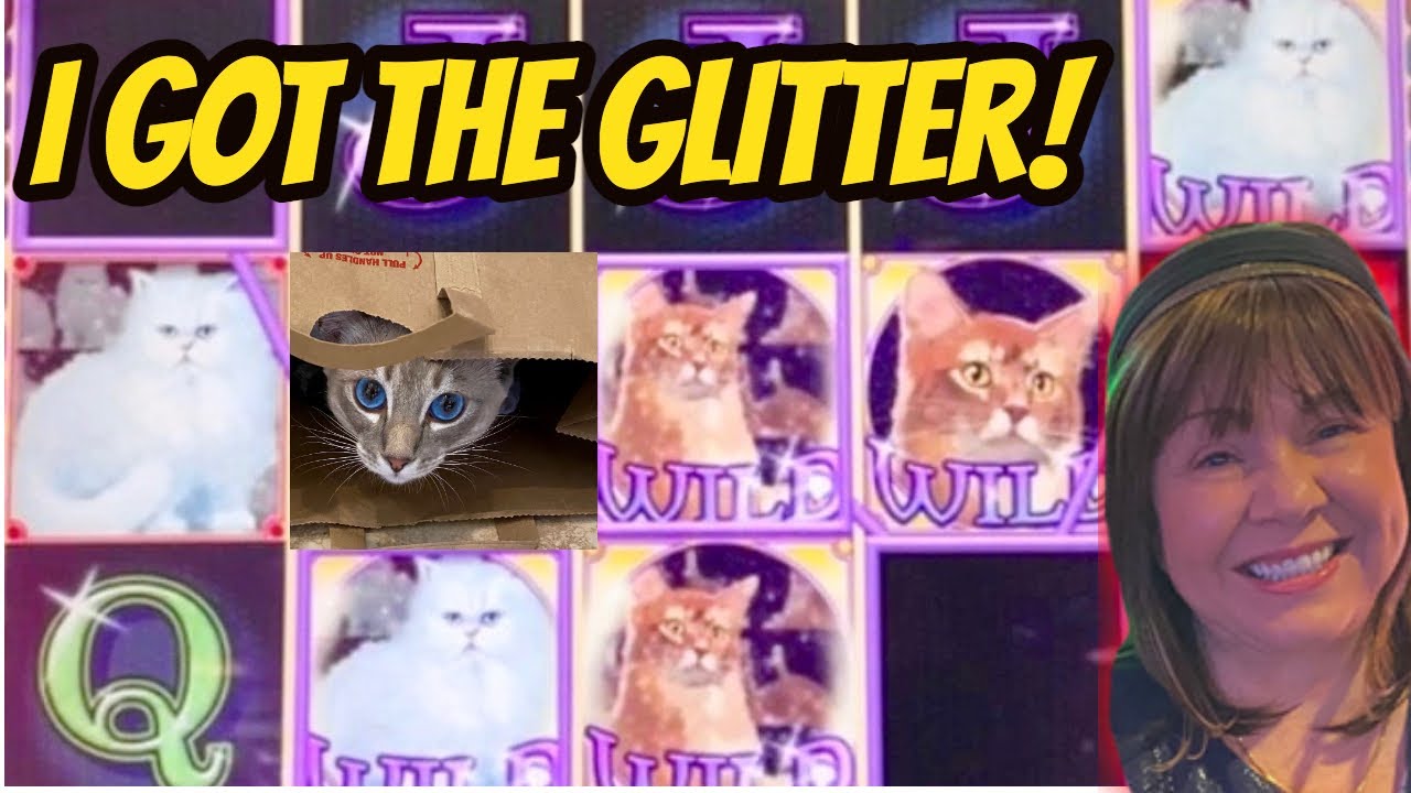 No Litter with Kitty Glitter! YouTube